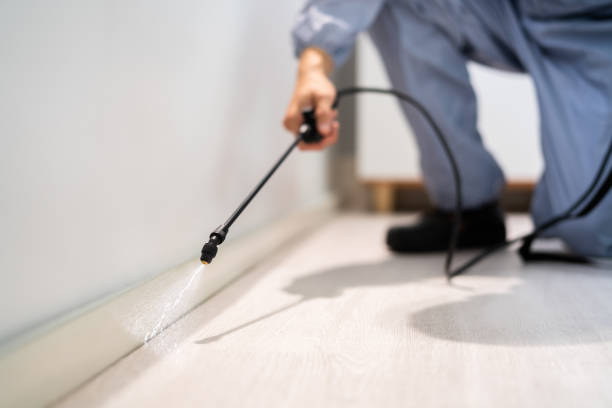 Professional exterminator conducting IPM assessment in Lake Placid
