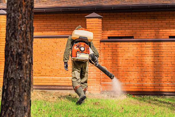 Bed Bug Clearance Verification and Documentation in Lake Placid